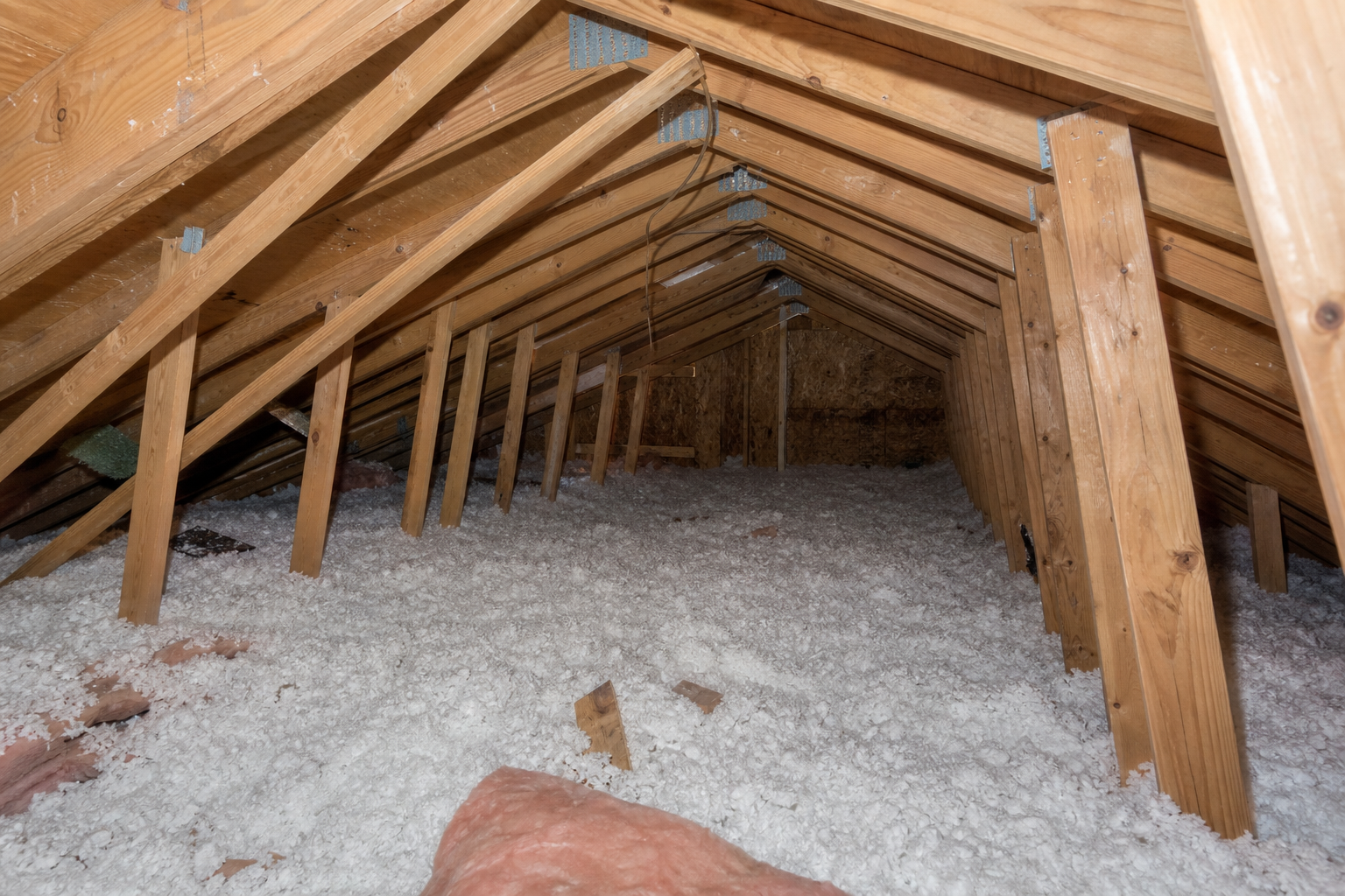Roof and attic structure from a field inspection